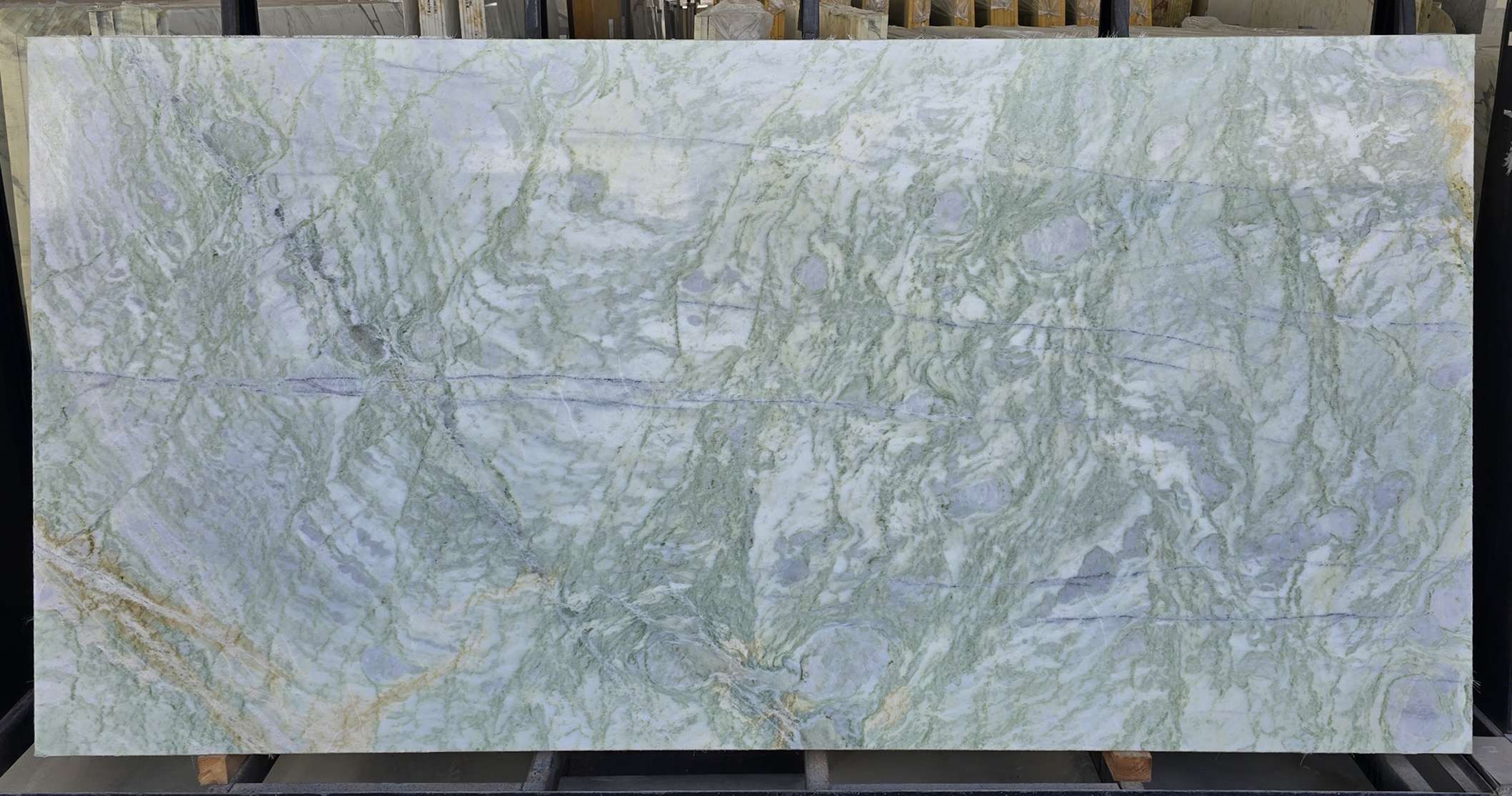 Seaweed Green