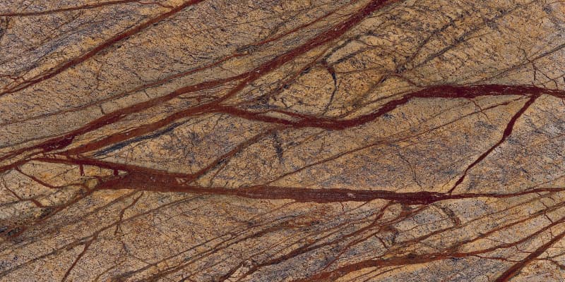 Rain Forest Brown